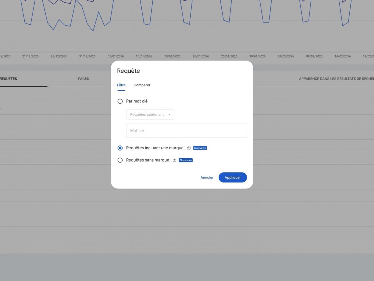 Filtre requêtes Google Search Console avec option marque