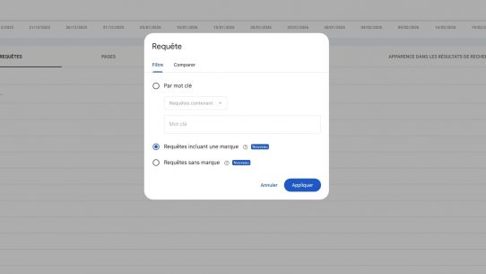 Filtre requêtes Google Search Console avec option marque