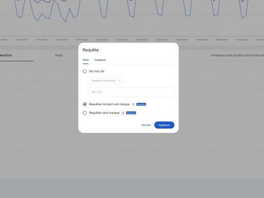 Filtre requêtes Google Search Console avec option marque